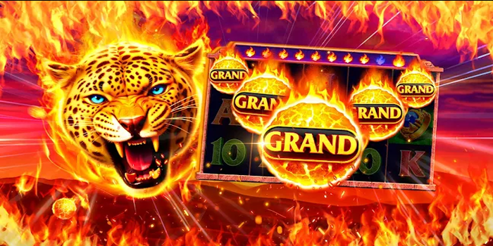 Panduan Scatter Slot Lion Fury Agar Menang Mudah