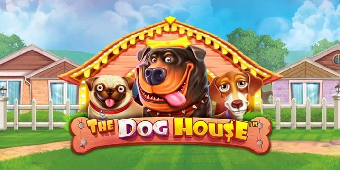 Panduan Temukan Pola Spin Pasti Slot The Dog House Gacor